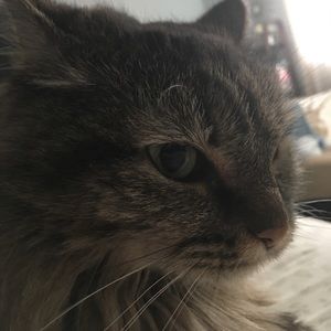 Meet your Posher, Natalie